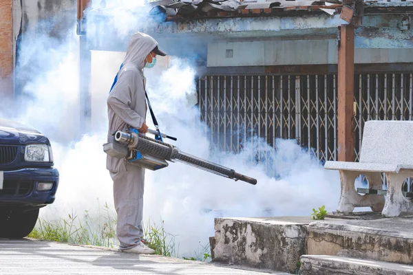 Comment gérer une infestation de rongeurs dans un immeuble de bureaux